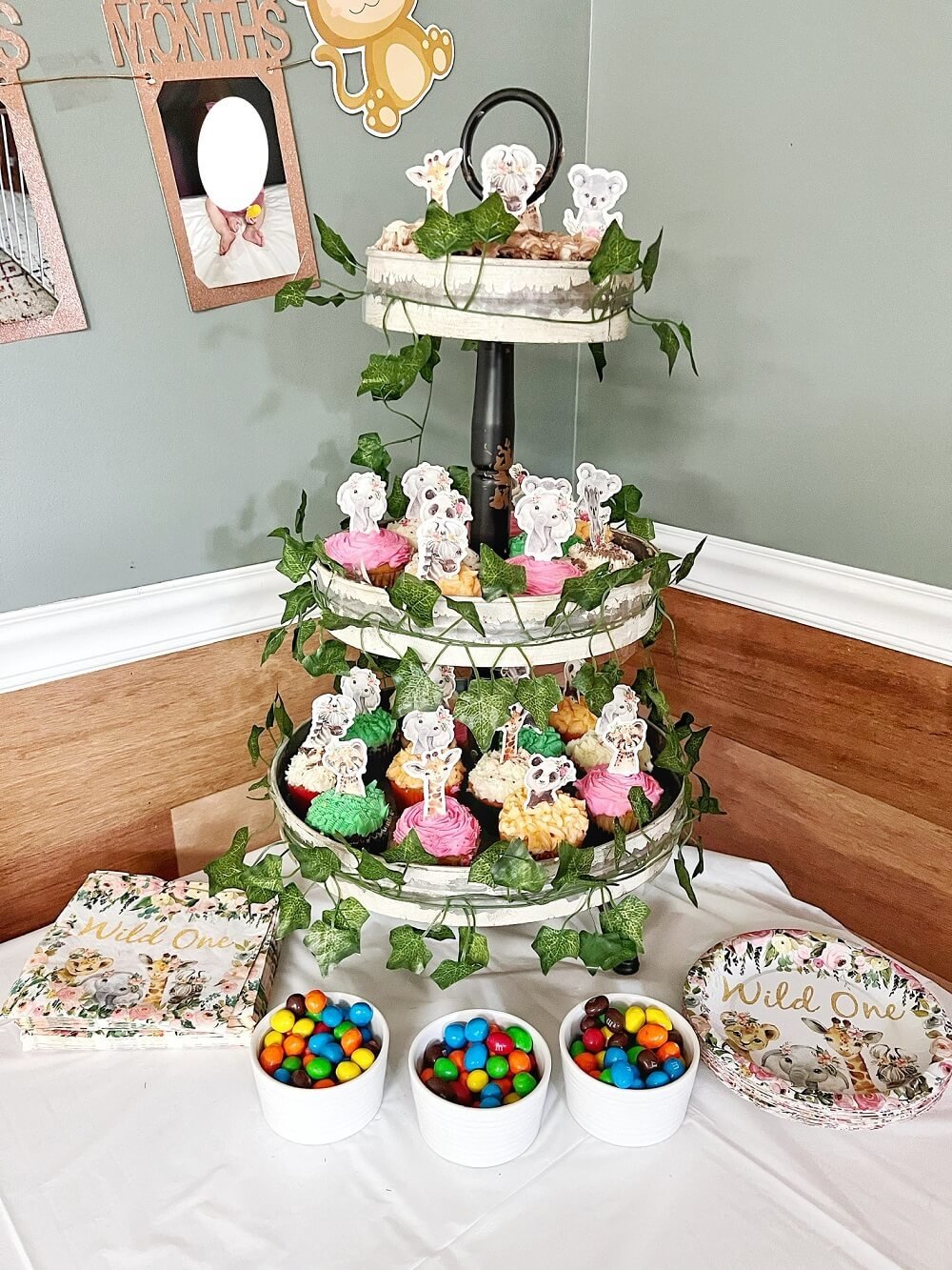 Wild ONE 1st Birthday Party Theme